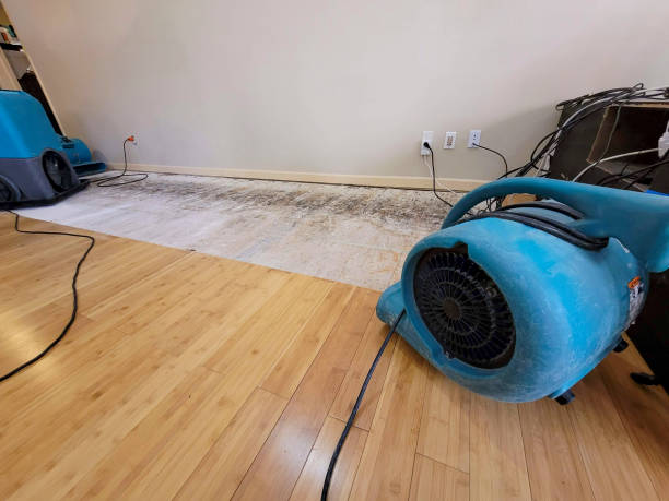 Professional Flood Damage Cleanup technician working in Wellington, FL